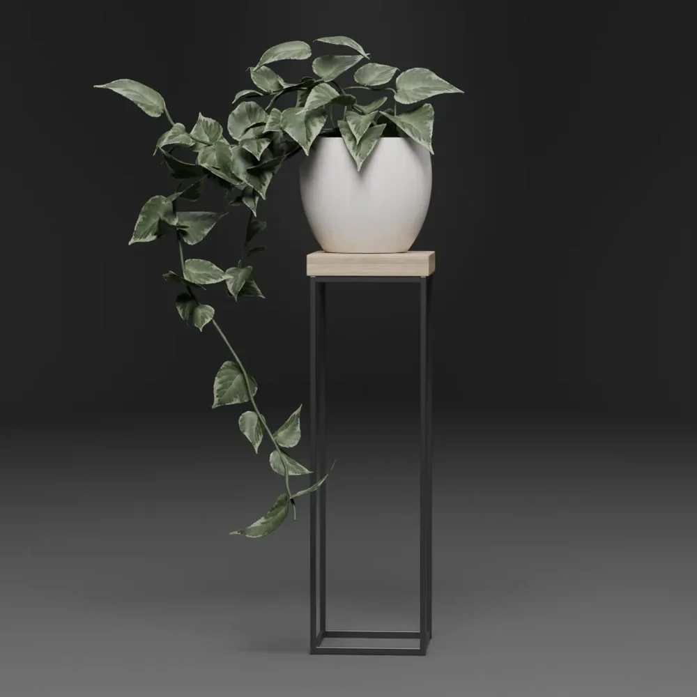 Indoor Plant Stand