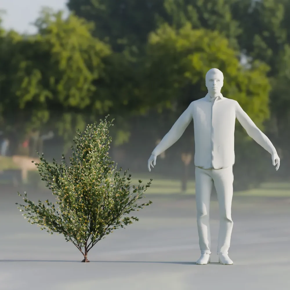Shurb Flower Lowpoly Animated