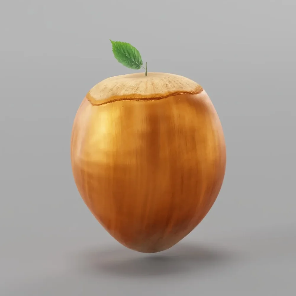 Hazelnut