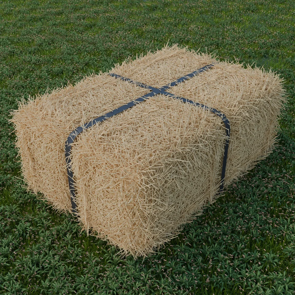 Hay Bale