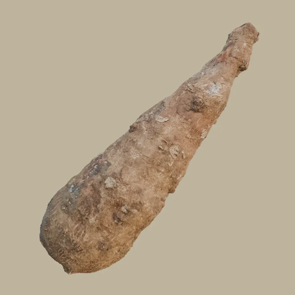 Taro / Gabi , Root Vegetable