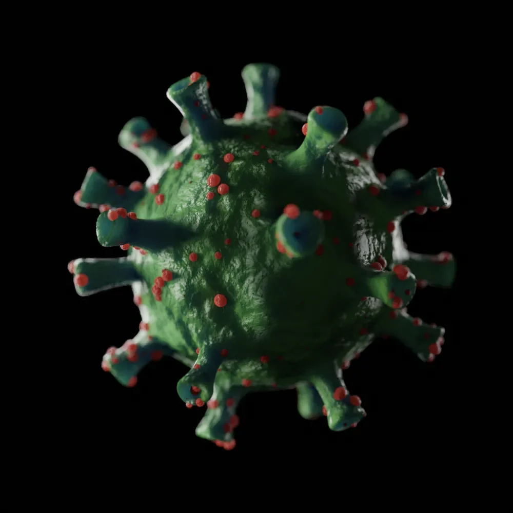 Corona Virus