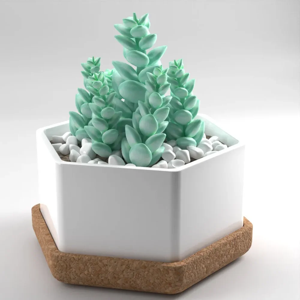Burrow's Tail Succulent In Hexagon Pot