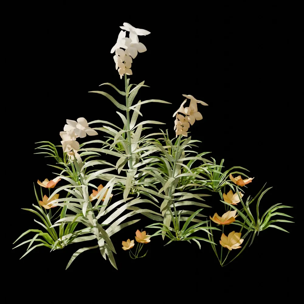 Garden And Yard Plants
