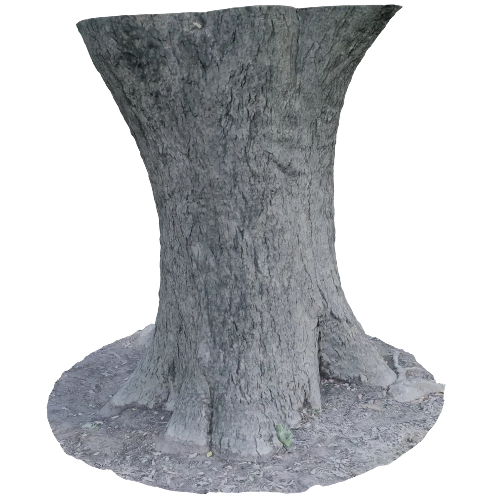 Big Trunk Scan