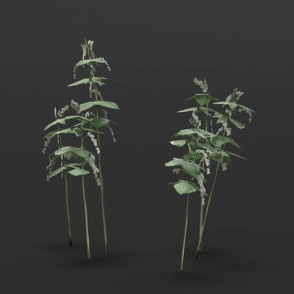 Nettle Bush Small