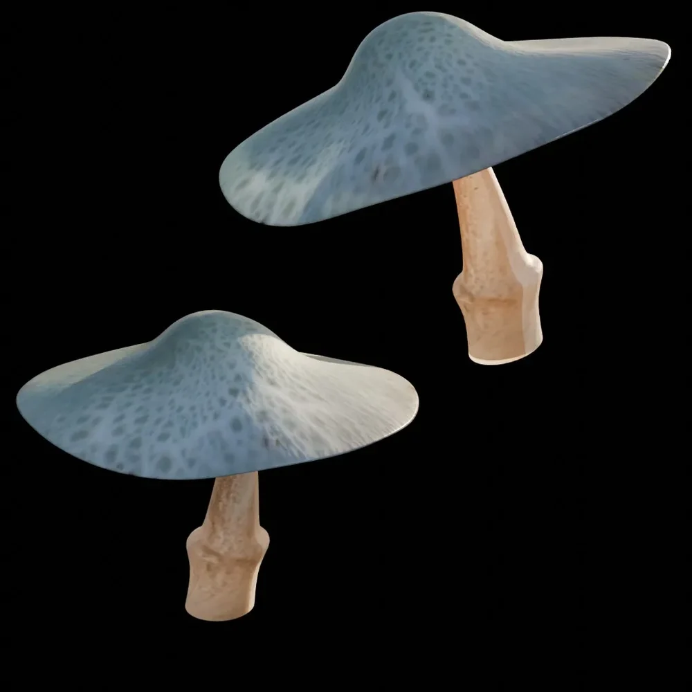 Mushroom