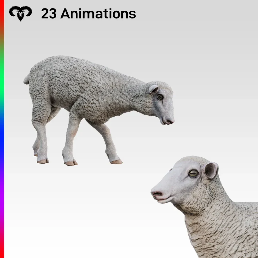 Baby Sheep Animated