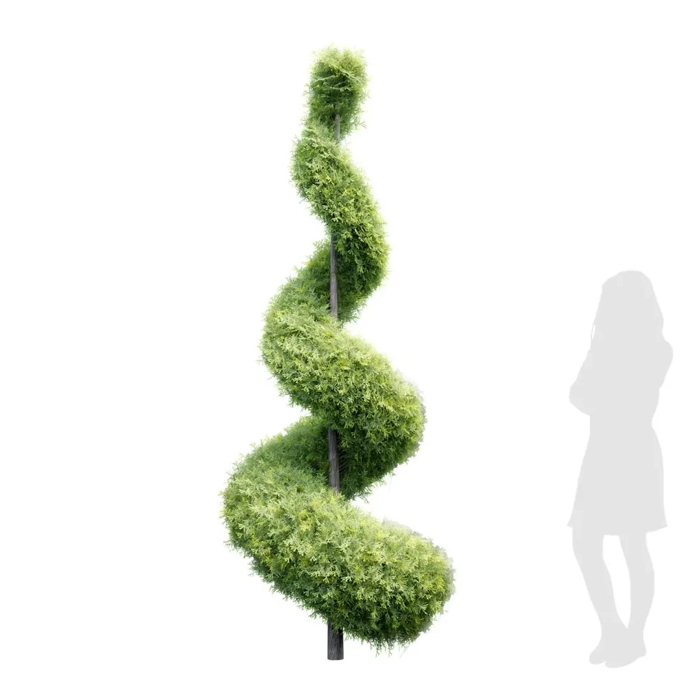 Spiral Italian Cypress Trees3