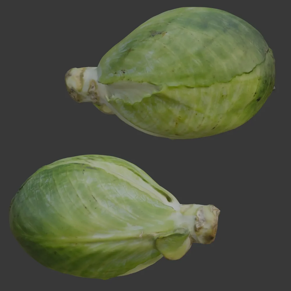 Cabbage Green