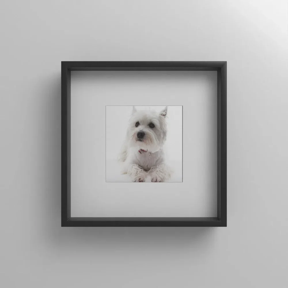 Ikea Sannahed Picture Frame
