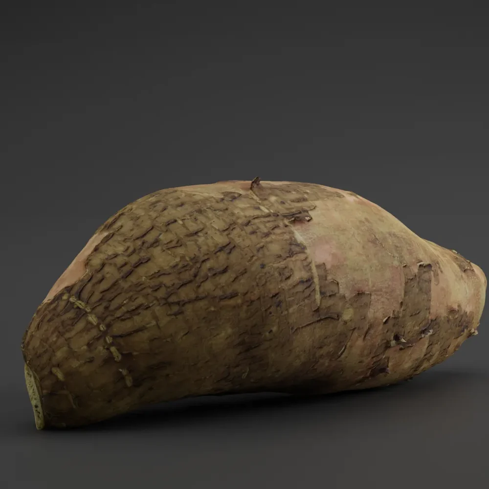 Sweet Potato