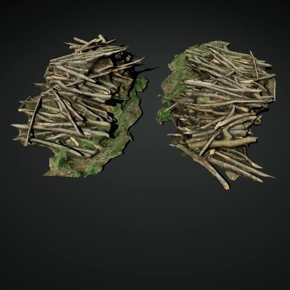 Pile Of Logs 03