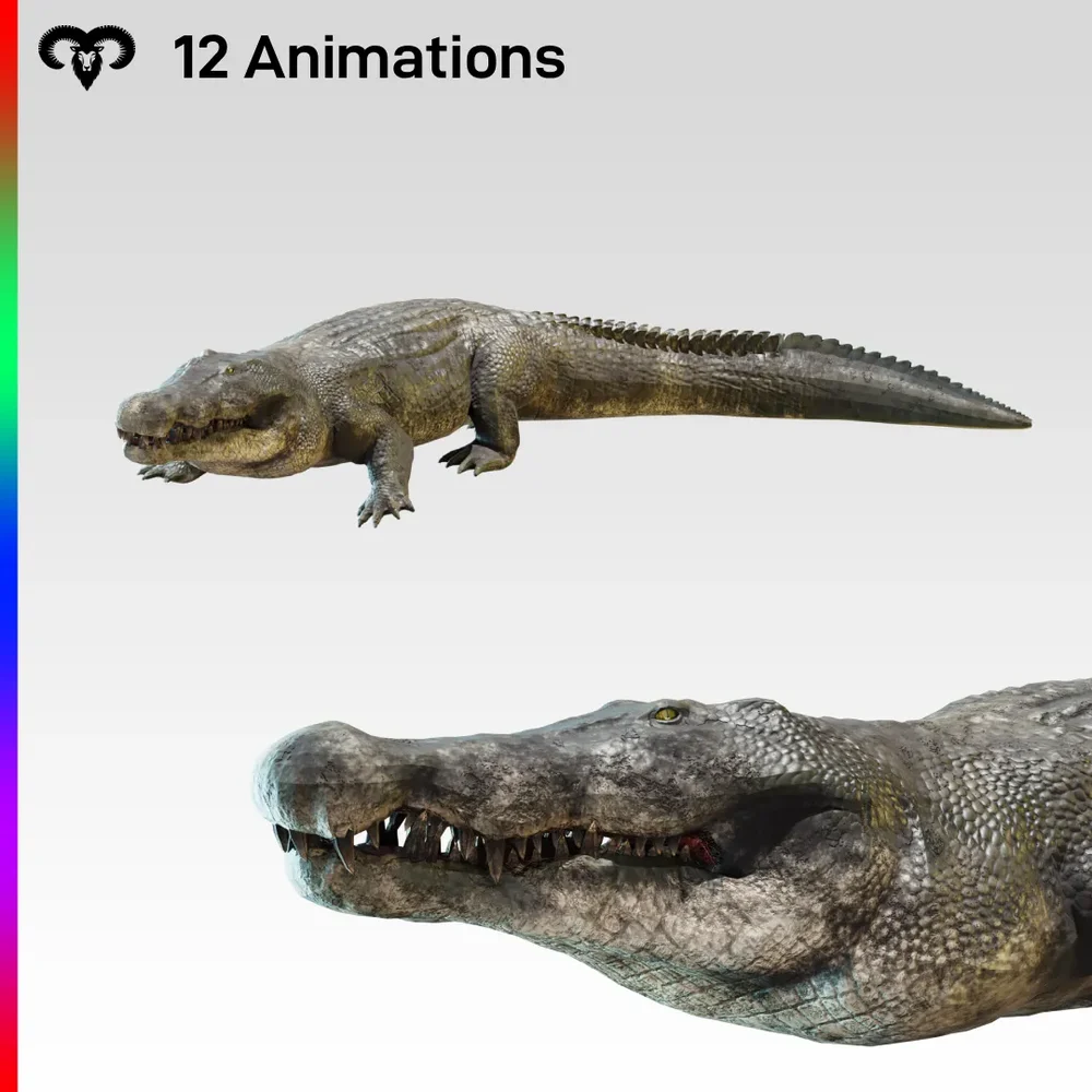 Male Crocodile Animated
