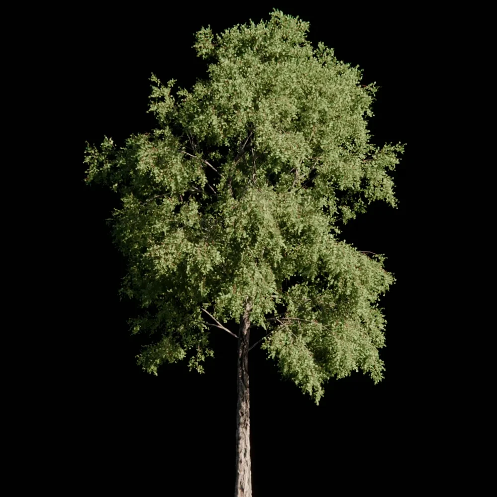 Tree — Free Blender model download | blen3d