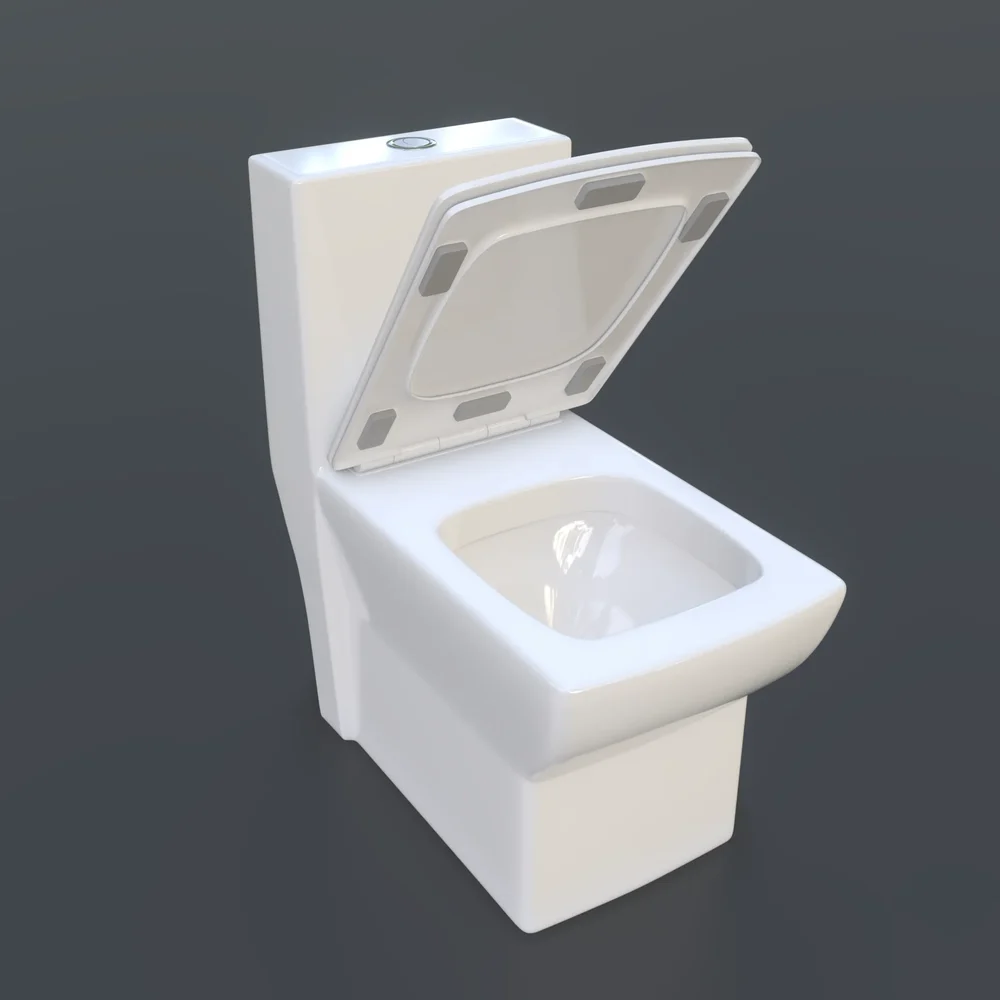 Western Toilet