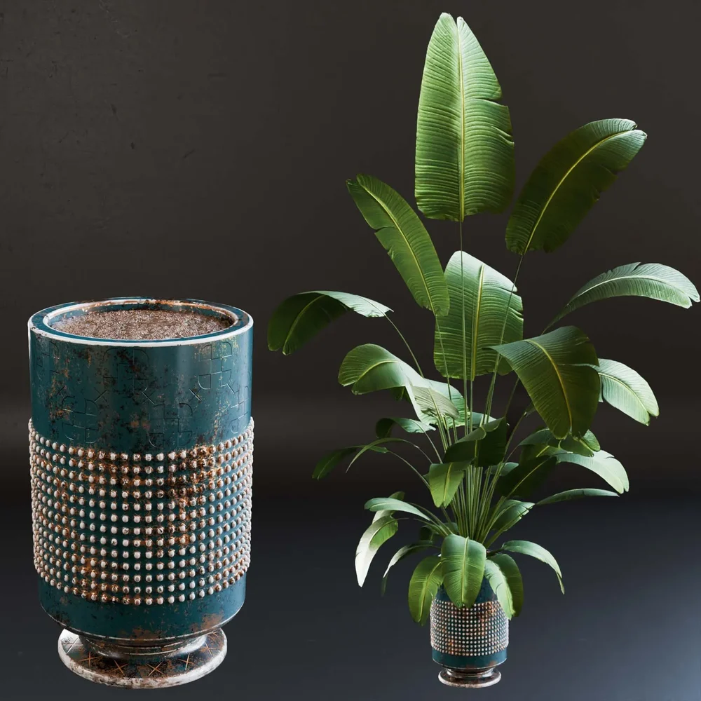 Sj-Strelitzia-Fantasy Pot 04