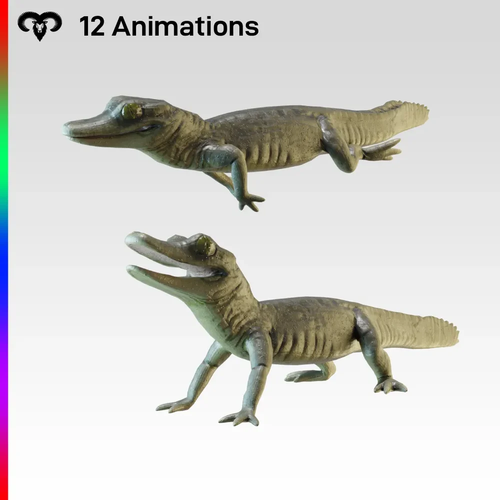 Baby Crocodile Animated Rigged