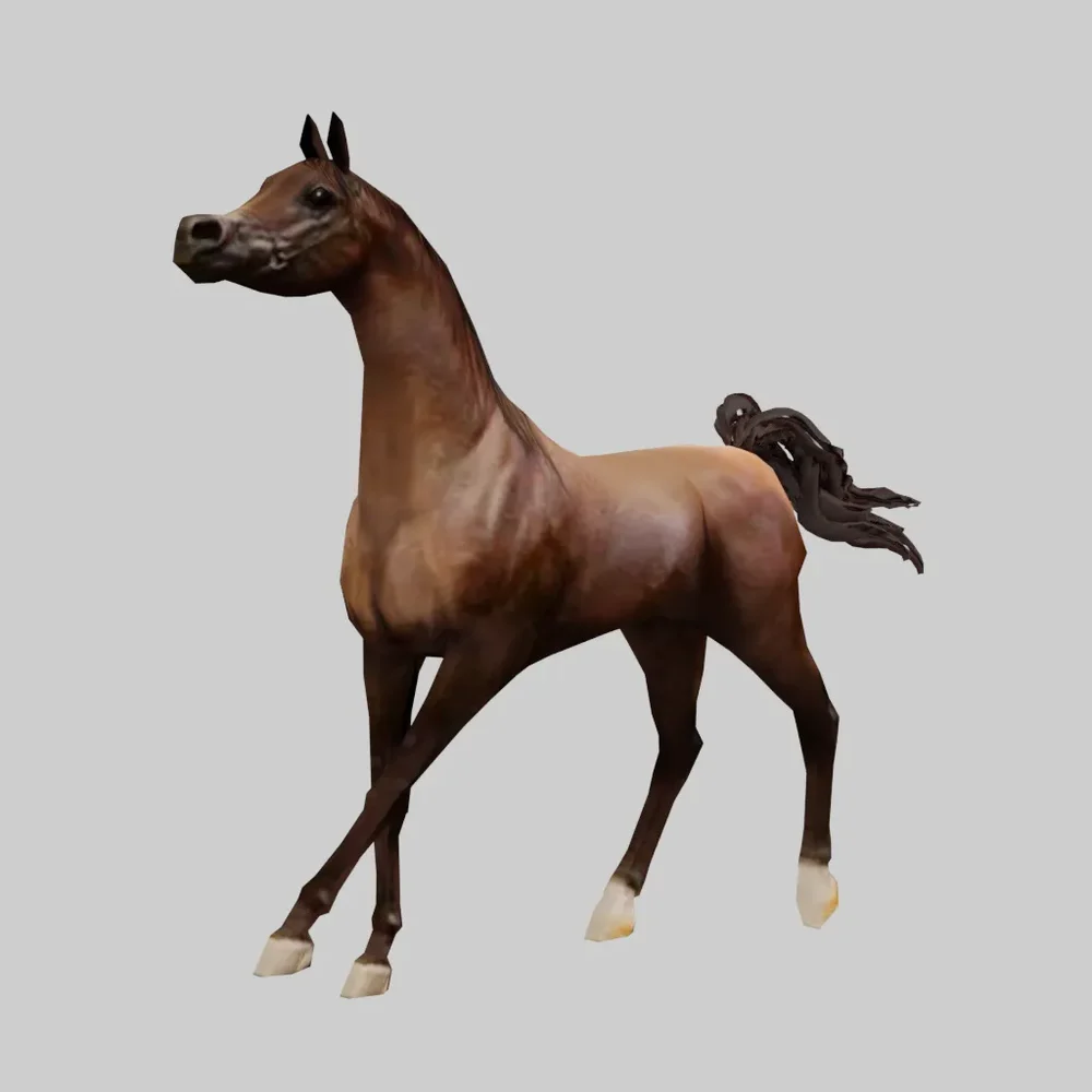 Arabian Horse Trotting