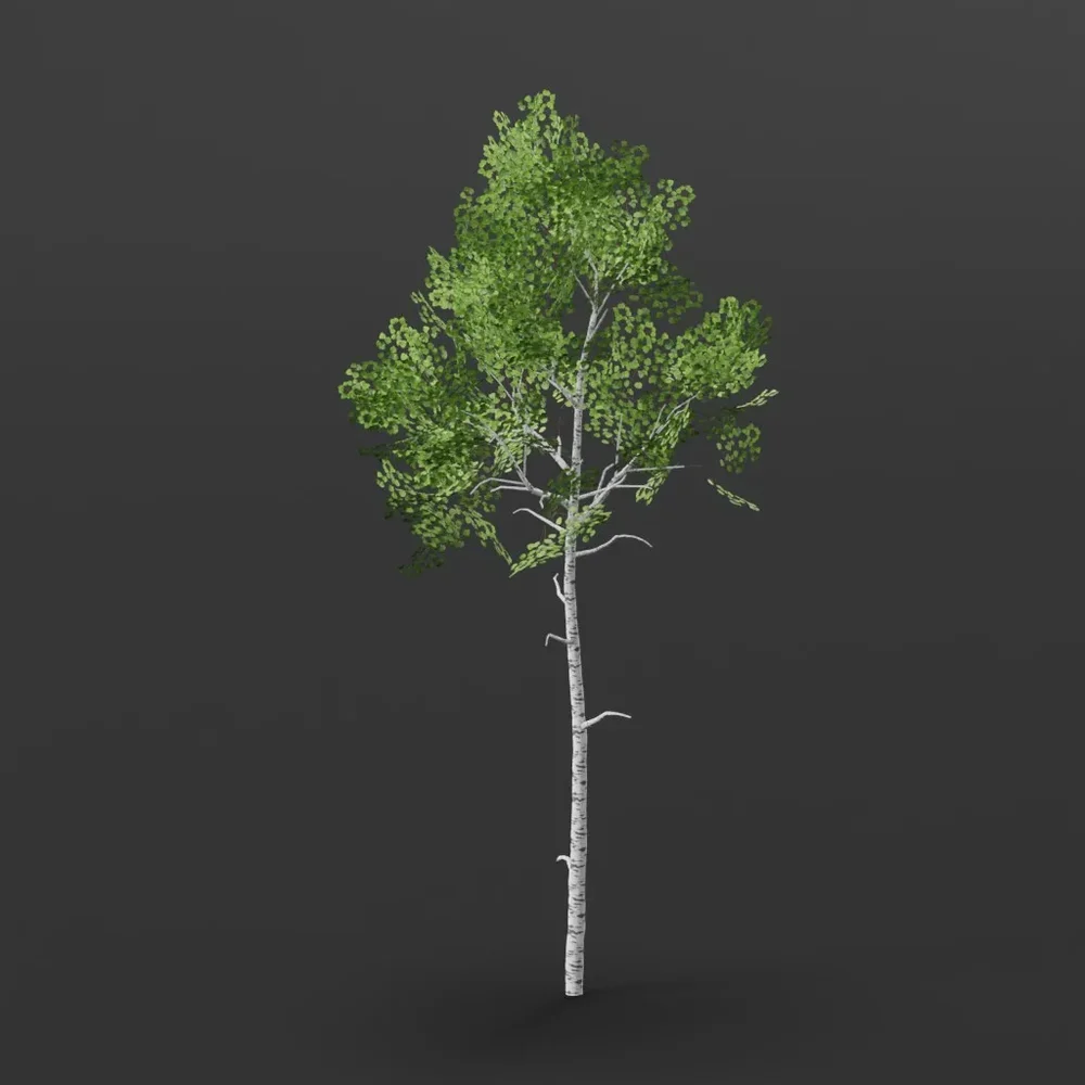 Aspen Tree Short Crown