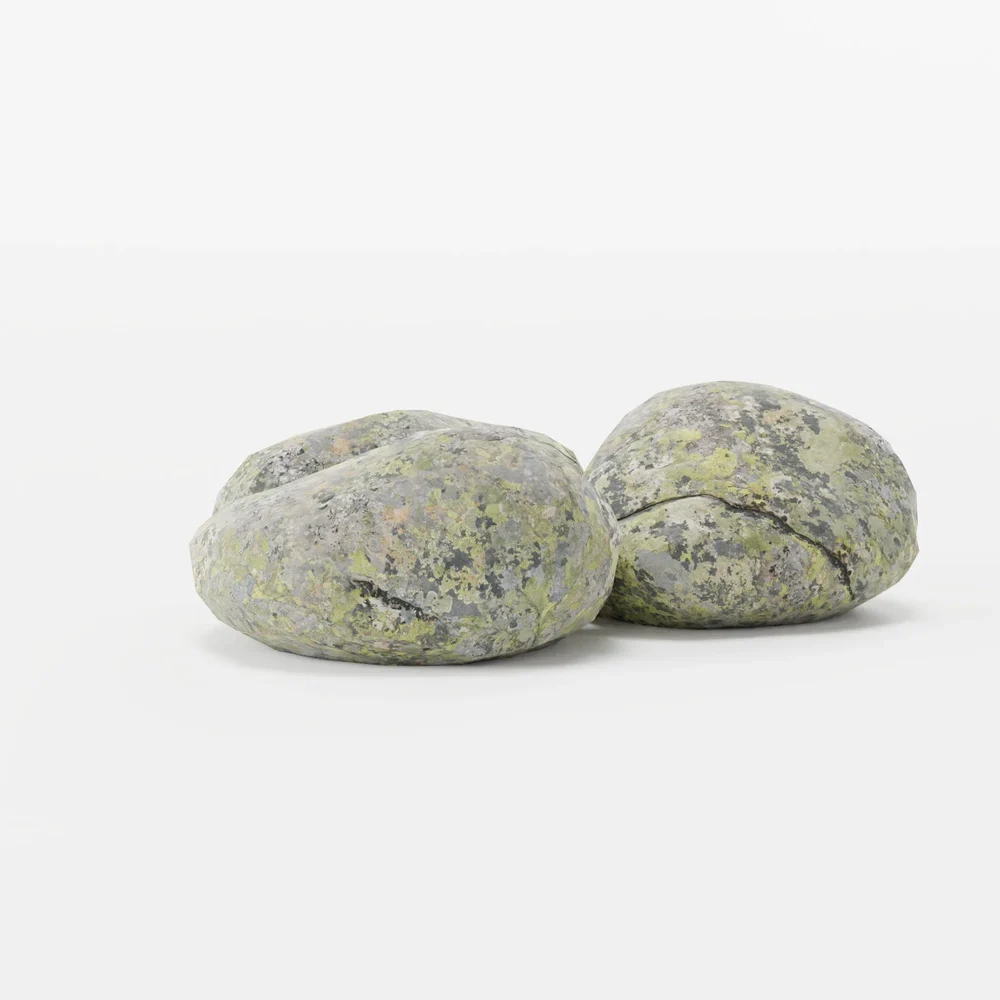 Large Mossy Rock Collection