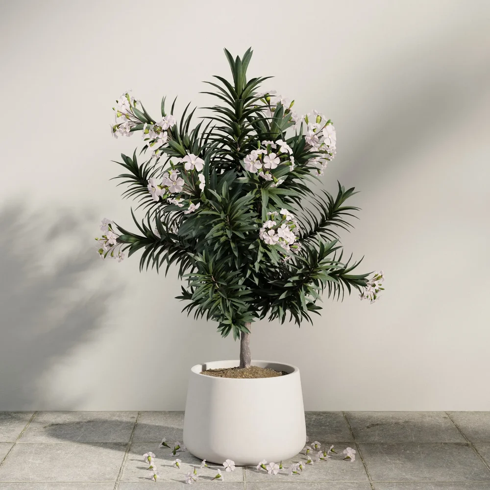 Blossom Evergreen Planter