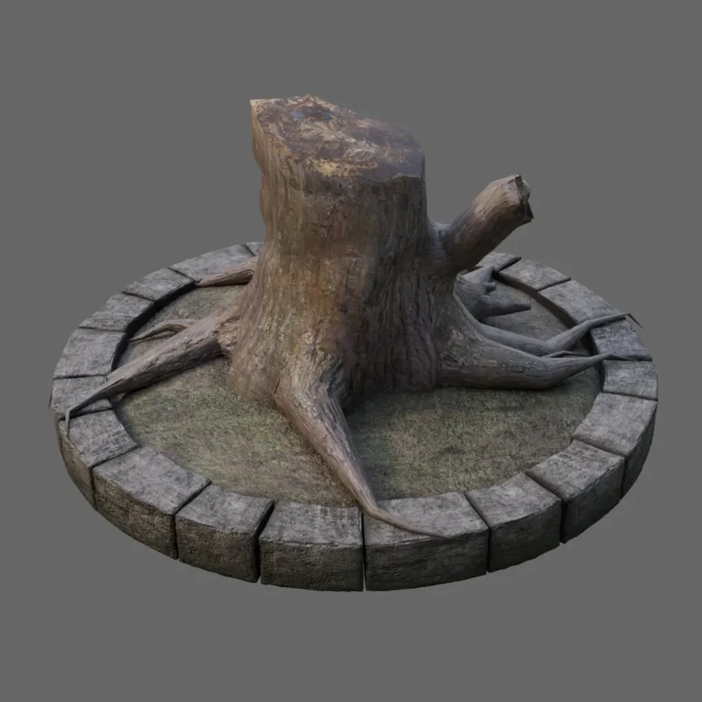 Tree Stump