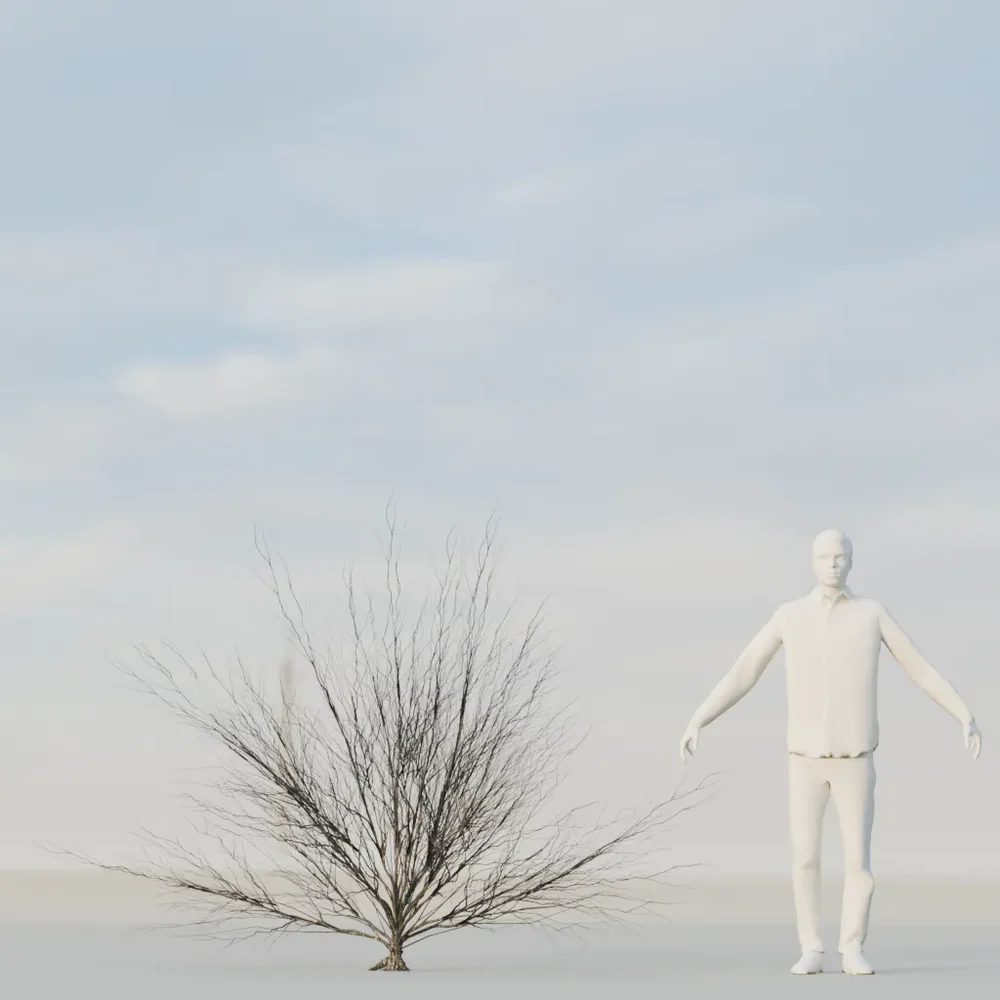 Dry Bush Low Poly