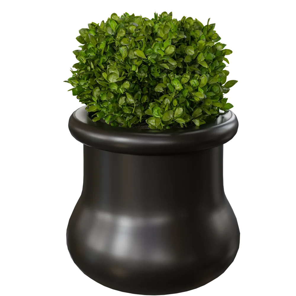 Indoor Plant B