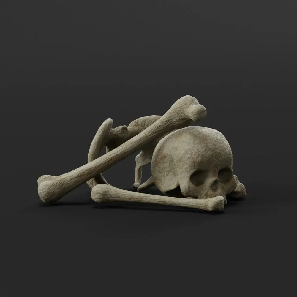 Small Bone Pile