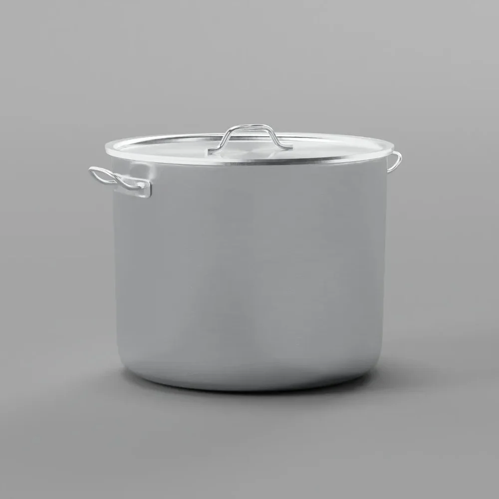 Stainless Steel Cooking Pot