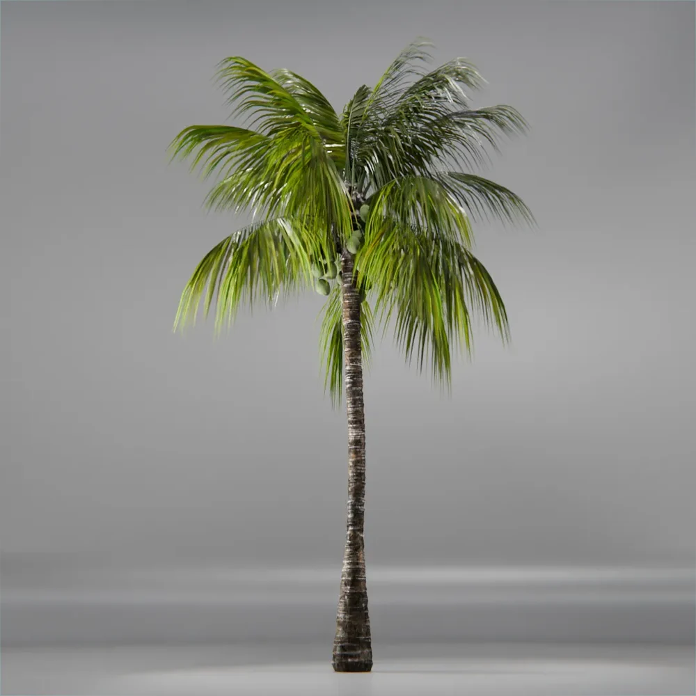 Coconut Tree Rigged And Animated