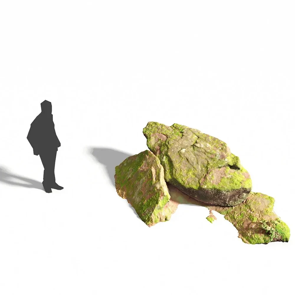 Sandstone Rock Forest Pbr Scan 08