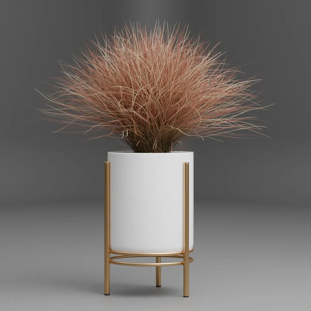 Ornamental Grass In Modern Planter