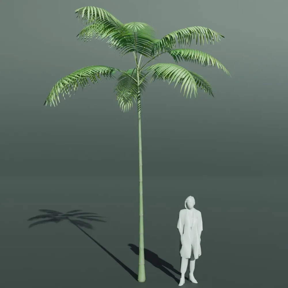 Tropical Palm Tree Medium