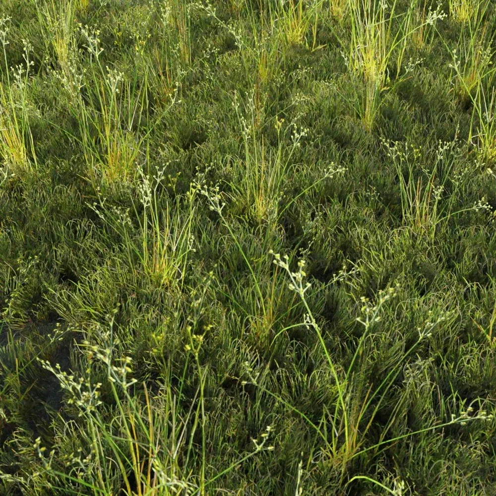 Grass Generic Large Cord