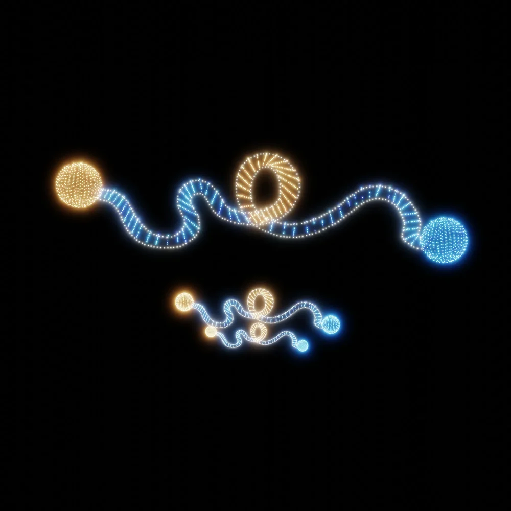 Christmas Lights