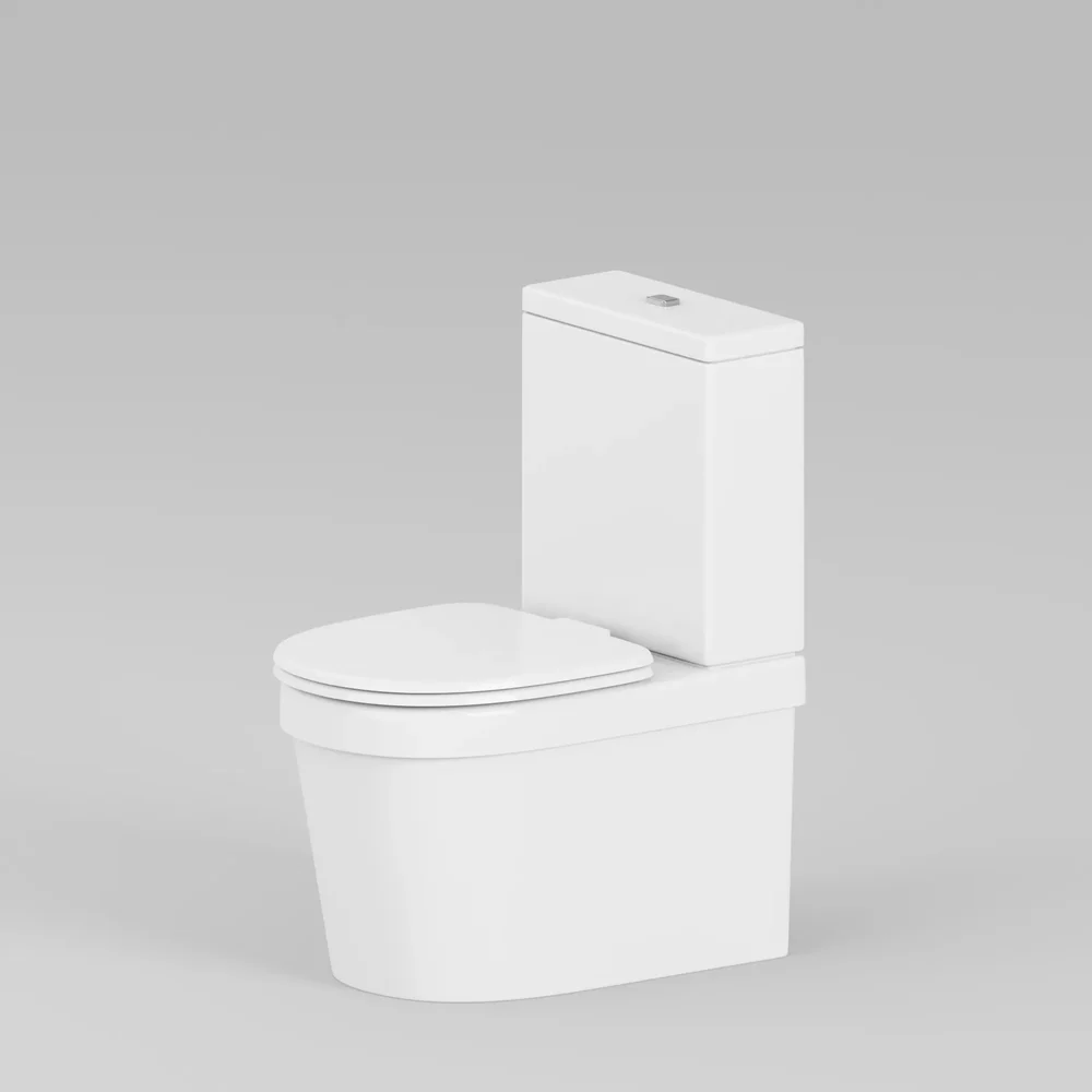 Basic Toilet Water Closet