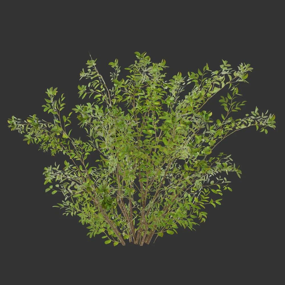 Simple Summer Bush-Game Ready