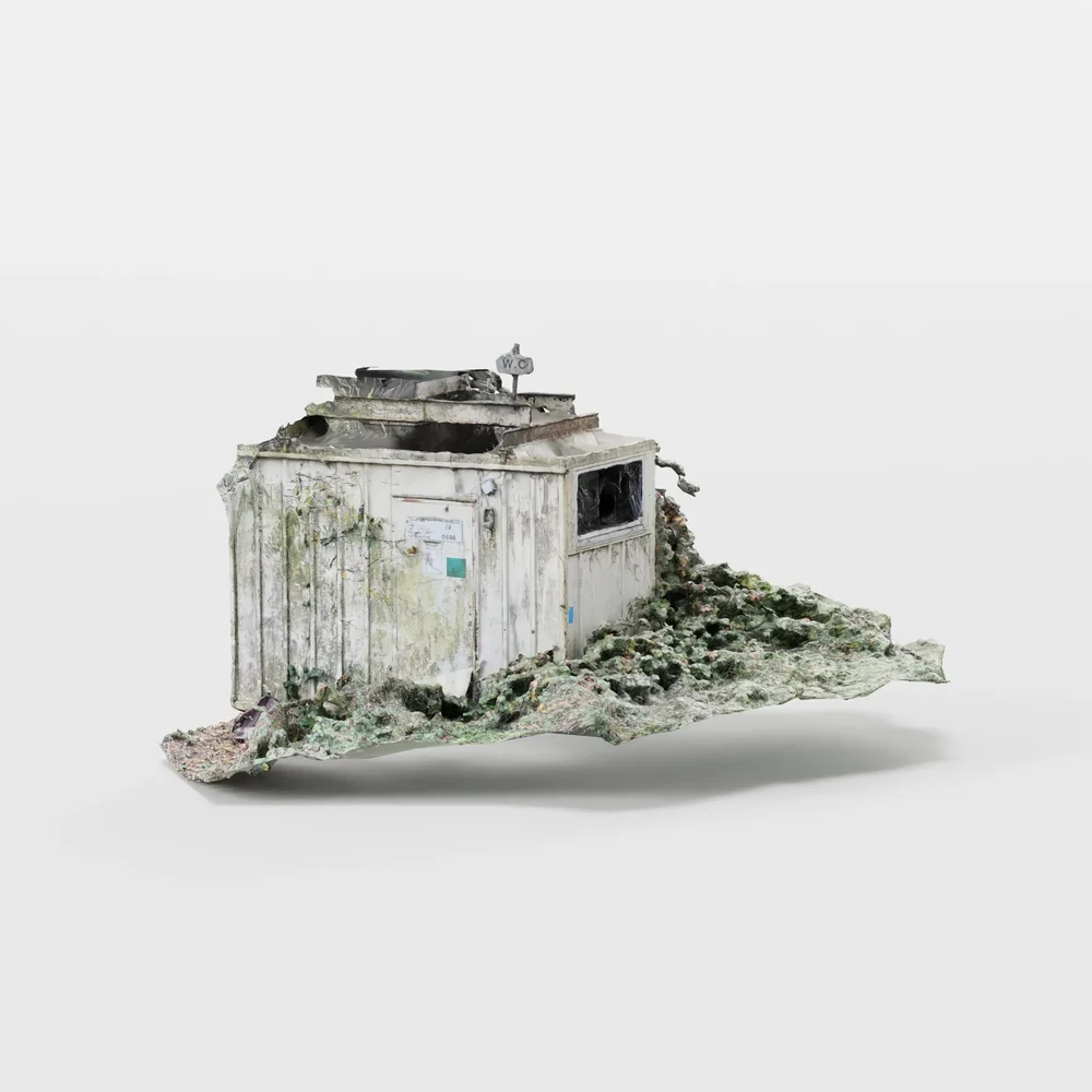 Old Abandoned Toilet