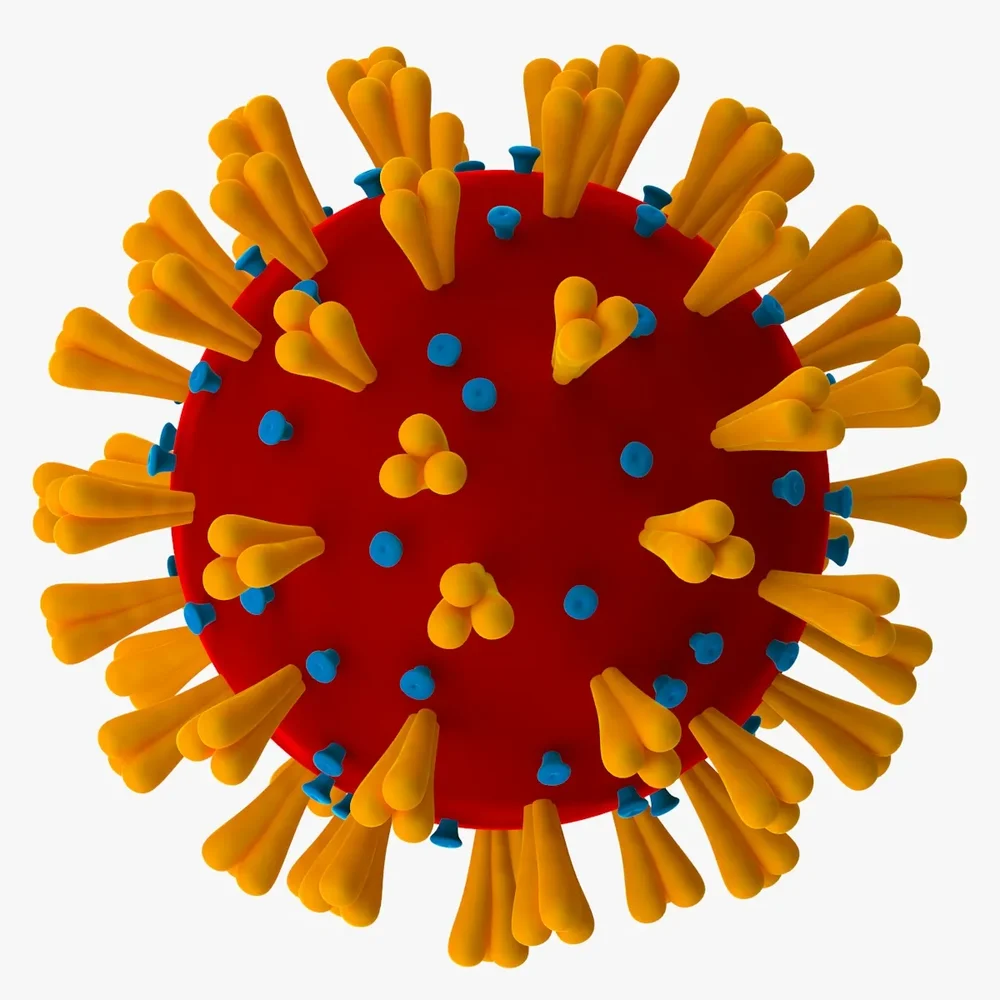 Coronavirus V3