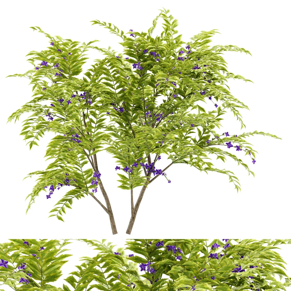 Flower Bush Plant