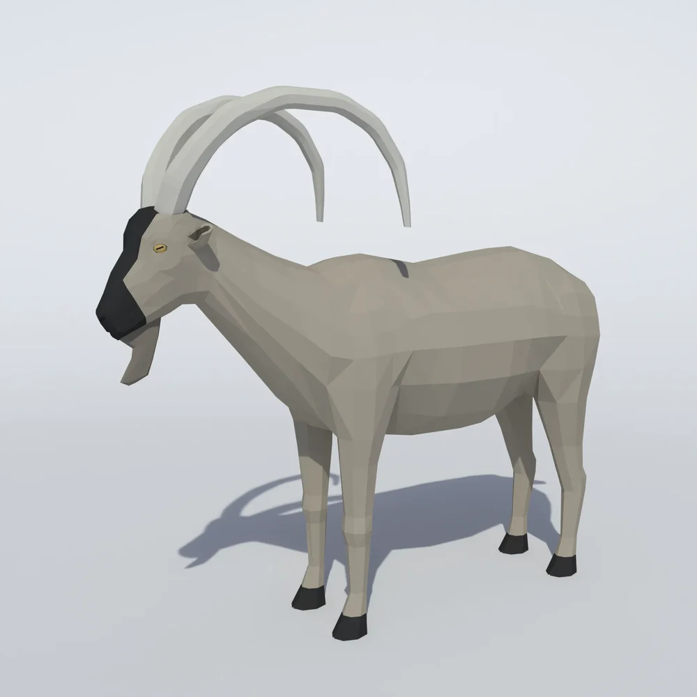 Kri Kri Wild Goat