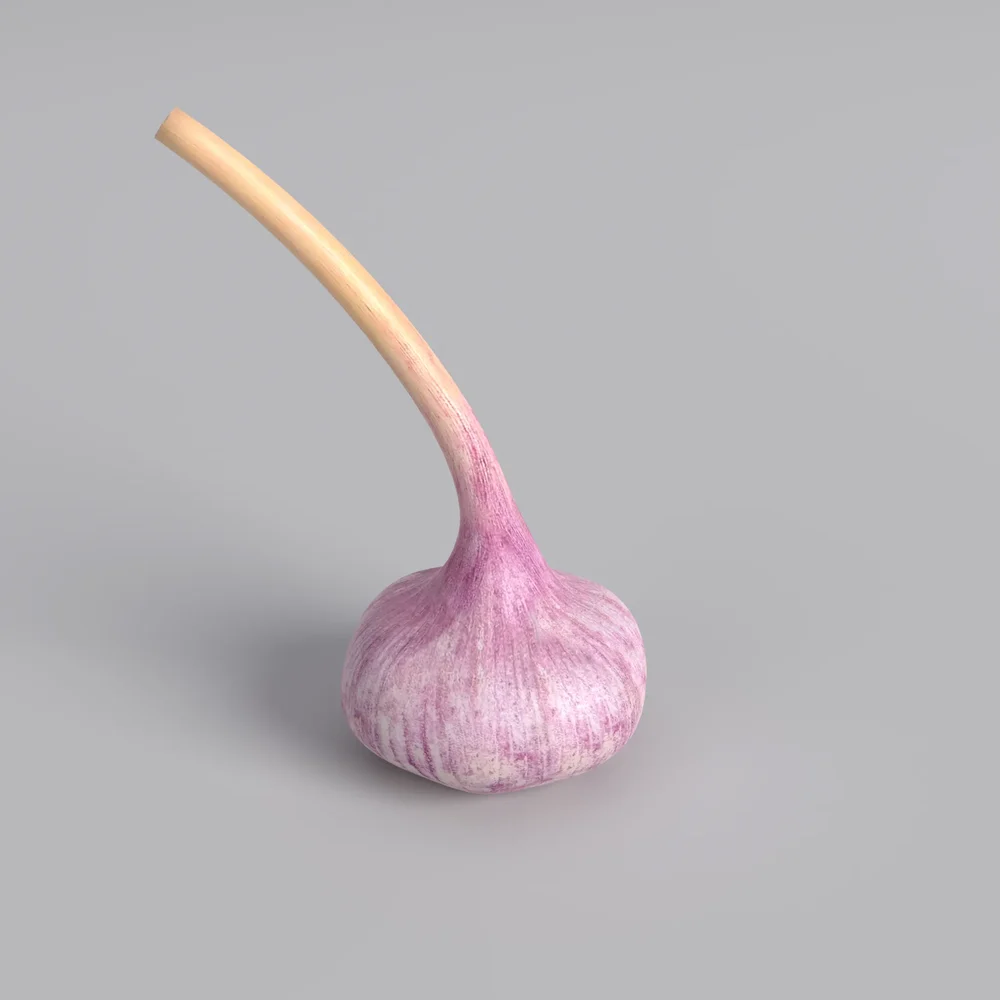 Purple Garlicc