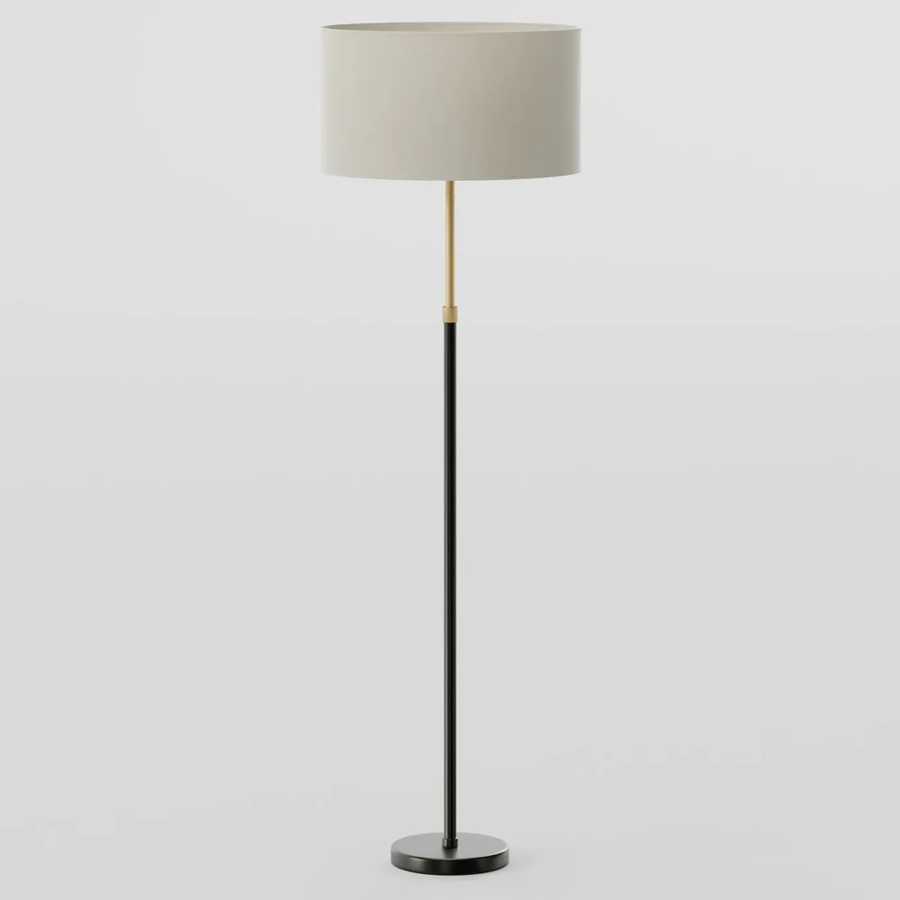 Telescoping Adjustable Floor Lamp