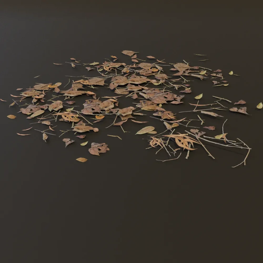 Debris Dry Leaves Pile Gn