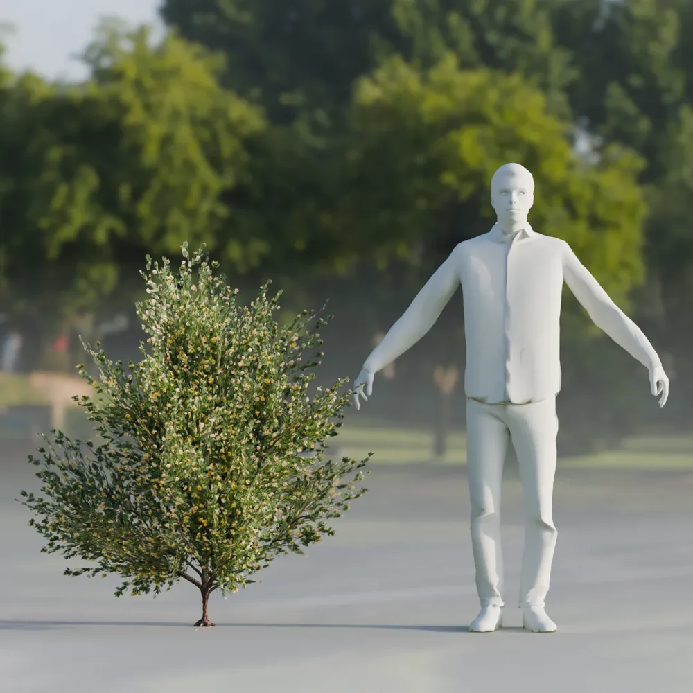 Shurb Flower Lowpoly Animated