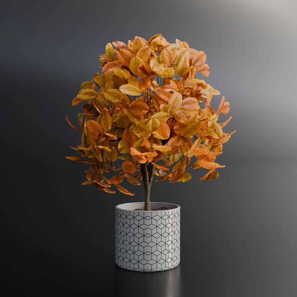 Autumn Plant