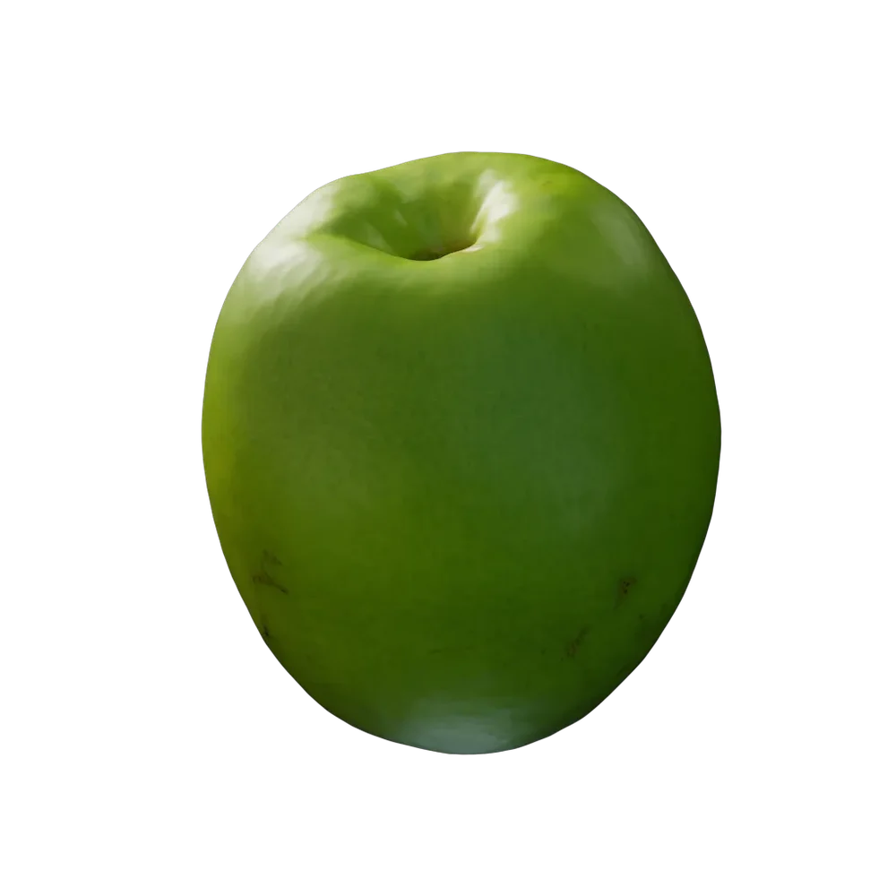 Ziziphus Mauritiana