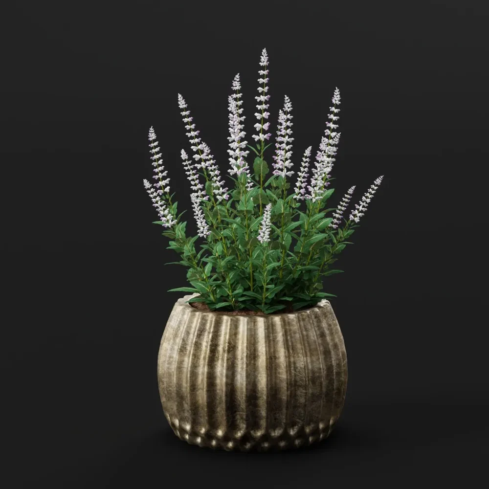 Potted Lavender Flower